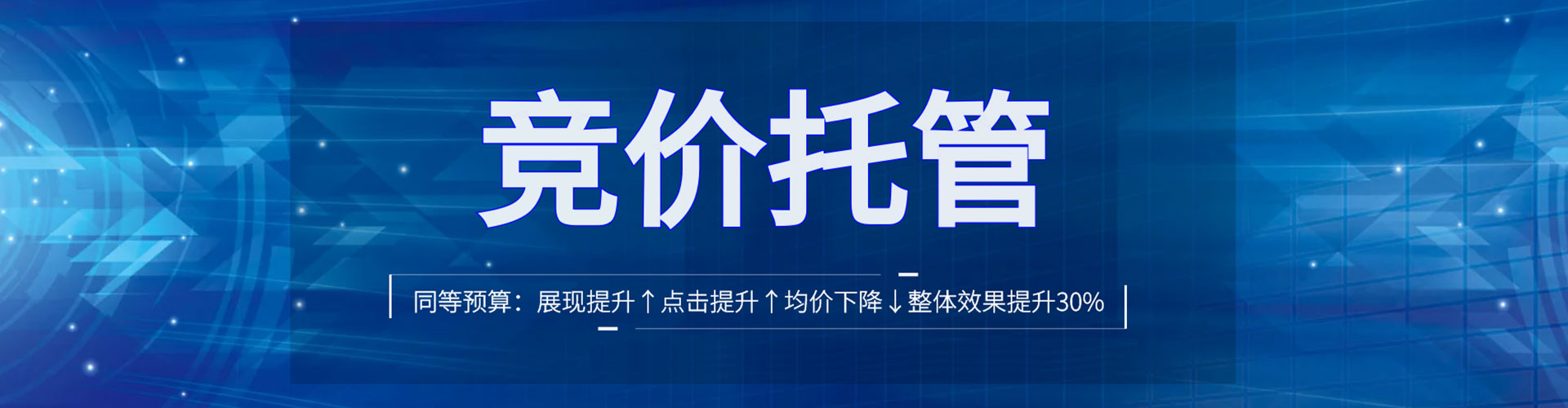 树林百度优化推广